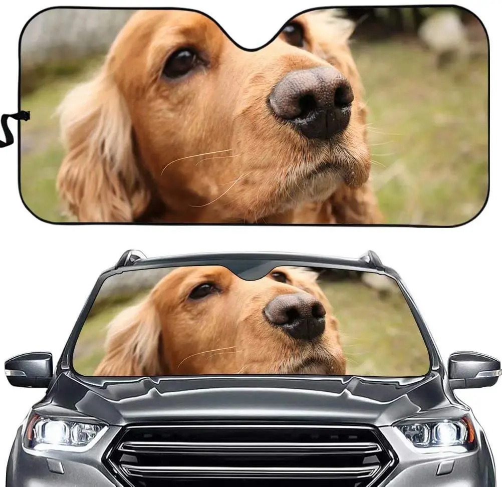 Cumagical Golden Retriever Car Front Window Sun Shade Animal Design Windshield Sun Visor Car Accessories,Block UV Rays Sunlight
Cumagical Golden Retriever Car Front Window Sun Shade Animal Design Windshield Sun Visor Car Accessories,Block UV Rays Sunlight