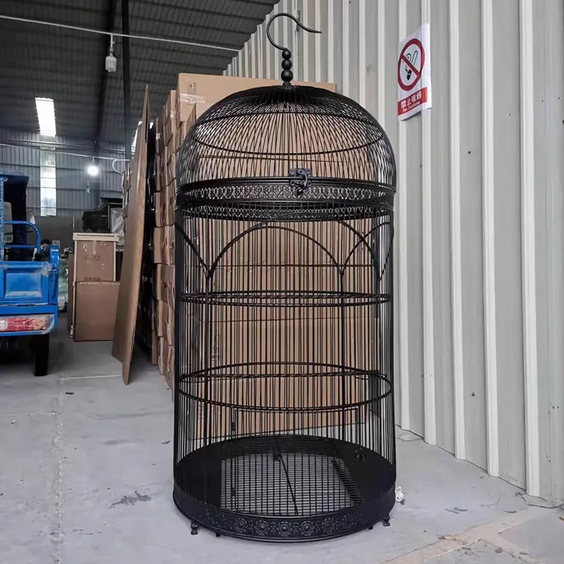 Hanging Playground Bird Cage Protective Hamster Decoration Bird House Canary Feeder Cage Pour Oiseaux Habitat Decorations
Hanging Playground Bird Cage Protective Hamster Decoration Bird House Canary Feeder Cage Pour Oiseaux Habitat Decorations