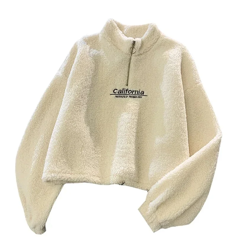 Cashmere Short High Collar Hoodies Women Thicken Loose Korean Autumn Zipper Coat Embroider California Letters Sweatshirt Femme
Cashmere Short High Collar Hoodies Women Thicken Loose Korean Autumn Zipper Coat Embroider California Letters Sweatshirt Femme