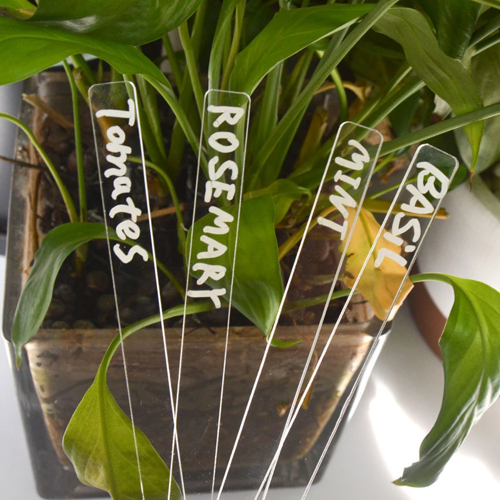 Label Signage Yard Acrylic Decorations Durable Herb Signs Plant Markers Transparent Eco-friendly Flower Potted
Label Signage Yard Acrylic Decorations Durable Herb Signs Plant Markers Transparent Eco-friendly Flower Potted