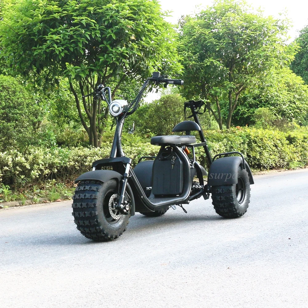 2000w 60v12ah/20ah 2 Removable Battery Citycoco Fat Tire Golf Sand Adult 3 Wheel Electric Scooter
2000w 60v12ah/20ah 2 Removable Battery Citycoco Fat Tire Golf Sand Adult 3 Wheel Electric Scooter