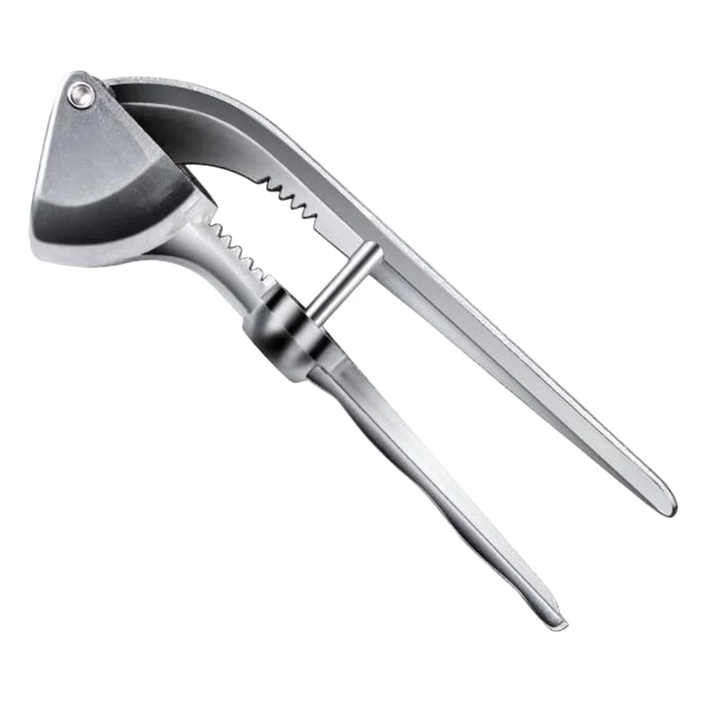 Stainless Steel Garlic Crusher Garlic Garlic Squeezer Kitchen Garlic Press Crusher and Mincer Garlic Smasher Garlic Keeper
Stainless Steel Garlic Crusher Garlic Garlic Squeezer Kitchen Garlic Press Crusher and Mincer Garlic Smasher Garlic Keeper
