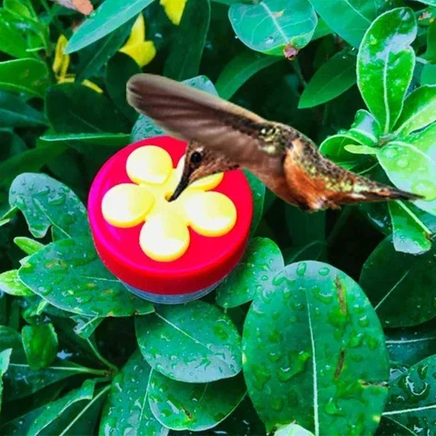 

Mini Bird Feeder with Suction Cup Handheld Hummingbird Feeders Multifunctional Creative Pets Food Container Tray