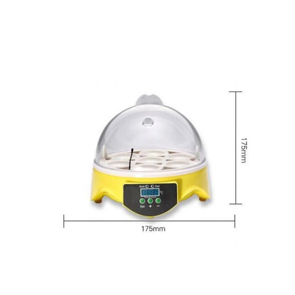 7 Eggs Hatching Incubator Mini Hatcher with Automatic Turning Chicken Brooder Hatchery
7 Eggs Hatching Incubator Mini Hatcher with Automatic Turning Chicken Brooder Hatchery