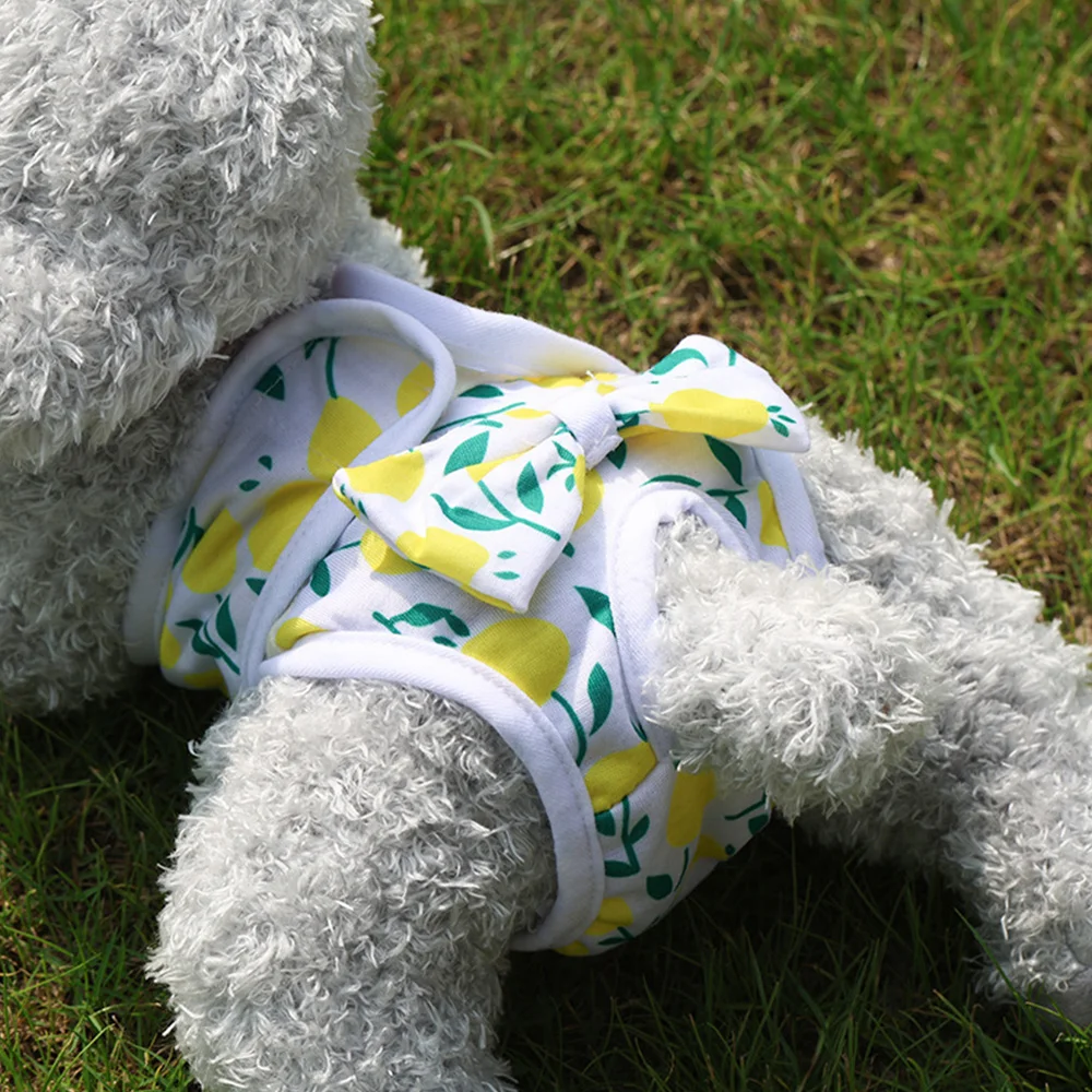 Pet Physiological Pants Dog Menstrual Pants Cute Pet Princess Panties Pet Diaper Dog Breathable Bow Dog Clothes Elasticity Pants Pet Physiological Pants Dog Menstrual Pants Cute Pet Princess Panties Pet Diaper Dog Breathable Bow Dog Clothes Elasticity Pants