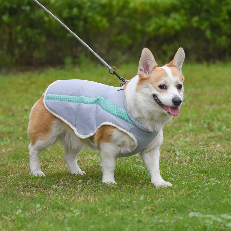 New pet cool clothes Breathable leash with cooling dog vest medium large reflective dog clothing
New pet cool clothes Breathable leash with cooling dog vest medium large reflective dog clothing