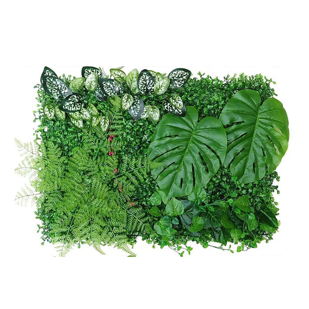 Simulated Lawn for Home Wall Decoration Artificial Green Grass Square Practical and Long Lasting Suitable for Cafe and Hotel
Simulated Lawn for Home Wall Decoration Artificial Green Grass Square Practical and Long Lasting Suitable for Cafe and Hotel