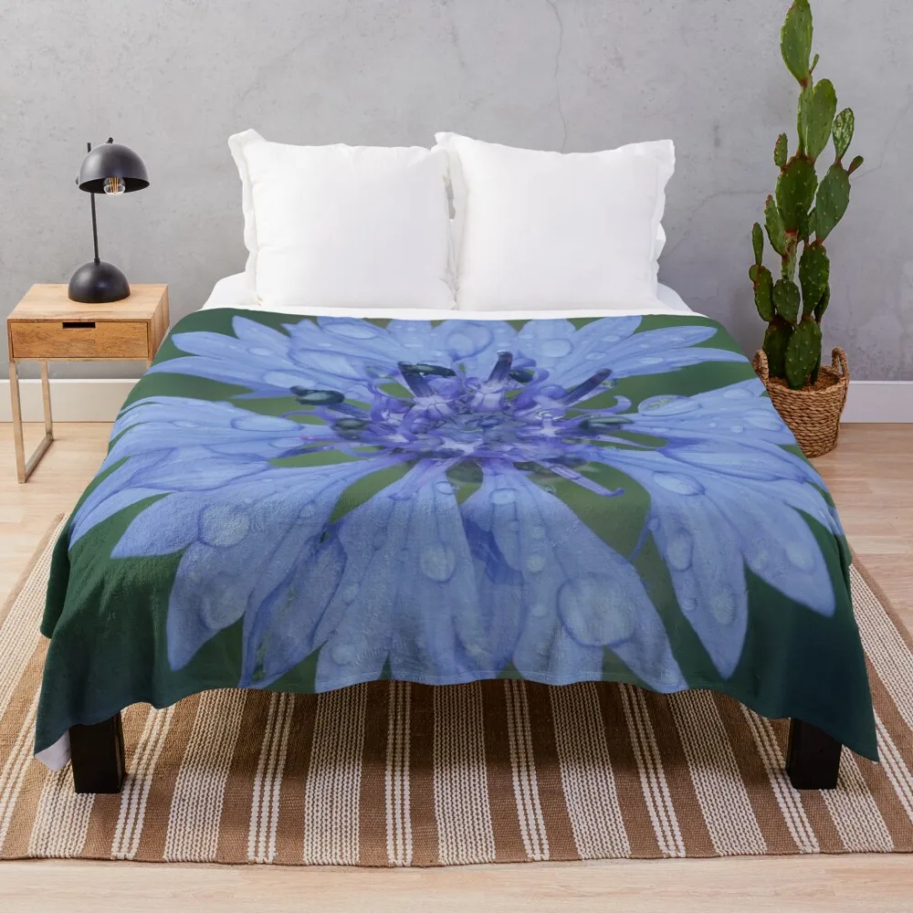 Cornflower blossom cornflower blue raindrop wet flower blue Throw Blanket Bed linens Fluffys Large manga Comforter Blankets
Cornflower blossom cornflower blue raindrop wet flower blue Throw Blanket Bed linens Fluffys Large manga Comforter Blankets