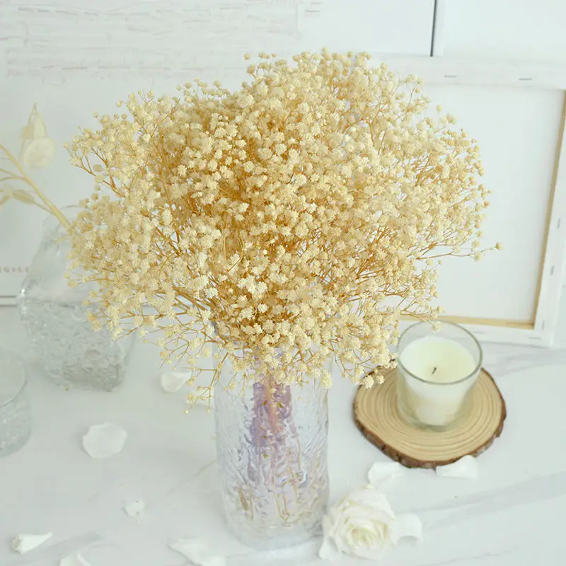 

Dried Babys Breath Flower Bouquet for Vase,Natural Gypsophila Branches Floral Arrangements Home Bedroom Table Wedding Boho Decor