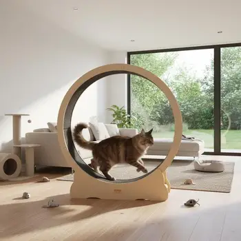 Laufrad für Katzen