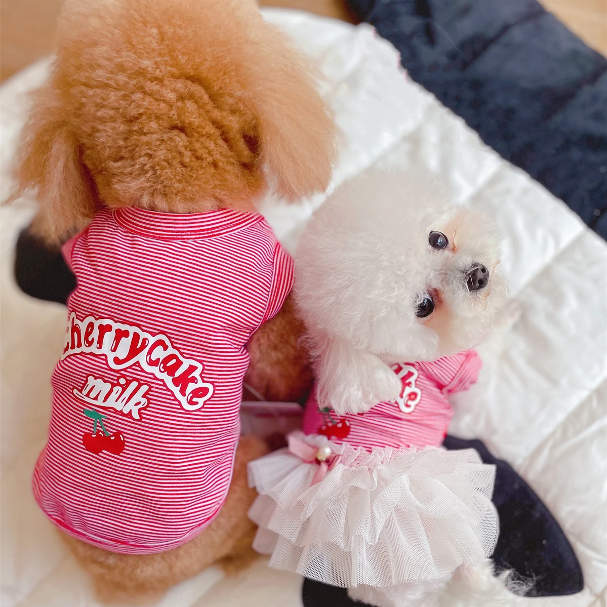 Hawaii Style Pet Dog Clothes Cherry Striped Dog Dress Puppy Cat Clothes Dogs Vest Comfortable Pet Dresses Dog Accessories
Hawaii Style Pet Dog Clothes Cherry Striped Dog Dress Puppy Cat Clothes Dogs Vest Comfortable Pet Dresses Dog Accessories