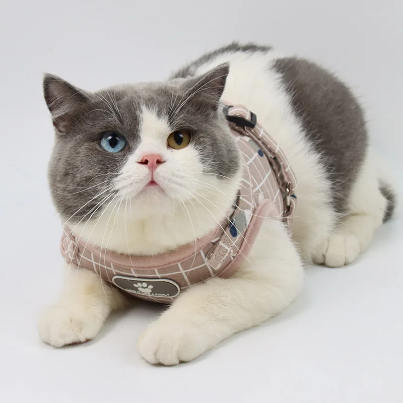 Sf34e40879498414ba2bc640b28cebf4fv