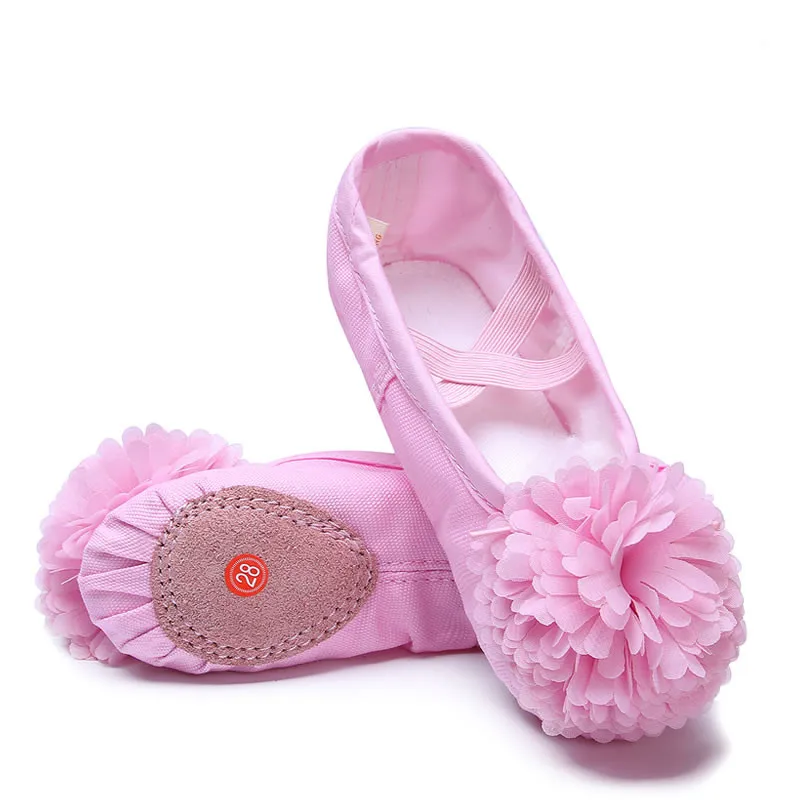 Lovely Canvas Soft Sole Girls Children Lace Ballet Practice Dance Shoes for Kids Ballet Shoes Dance
Lovely Canvas Soft Sole Girls Children Lace Ballet Practice Dance Shoes for Kids Ballet Shoes Dance