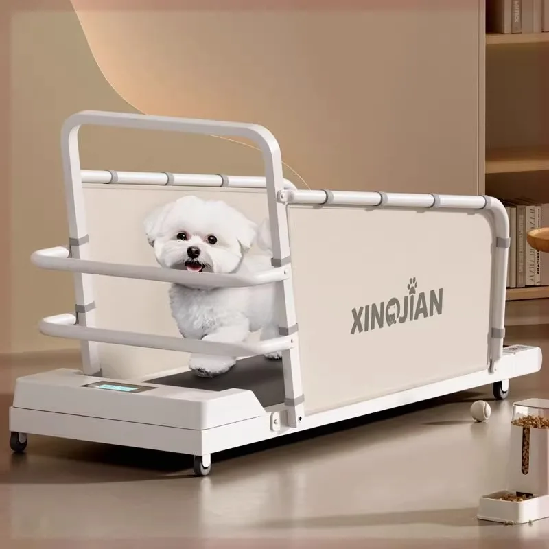 New pet dog treadmill large, medium and small cats, dogs, cats, cats, home ultra-silent animal sports training
New pet dog treadmill large, medium and small cats, dogs, cats, cats, home ultra-silent animal sports training