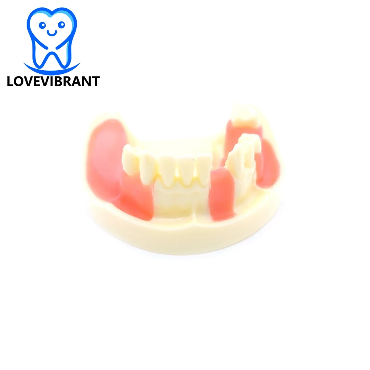 

Dental Lower Jaw Model Gingiva Missing Teeth Restoration Model dental school teeth Implant practise model
