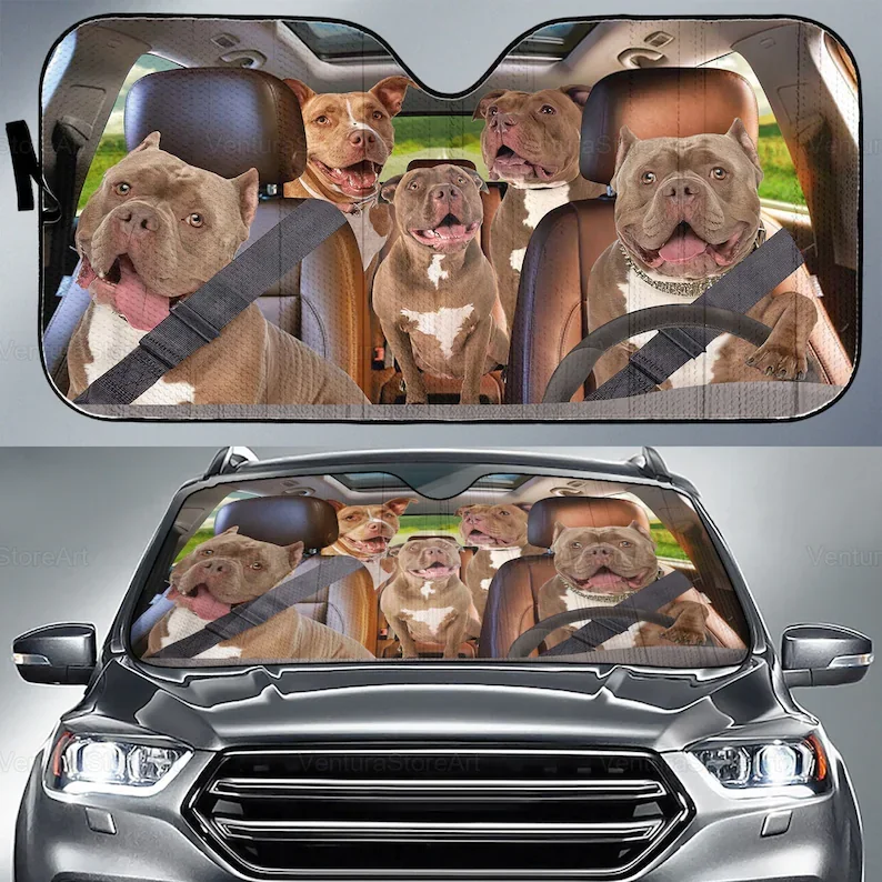 Pitbull Car Sunshade, Pitbull Car Decoration, Pitbull Lover, Auto Sun Shade, Dog Car Sunshade, Gift For Her, Gift For Dad LNG202
Pitbull Car Sunshade, Pitbull Car Decoration, Pitbull Lover, Auto Sun Shade, Dog Car Sunshade, Gift For Her, Gift For Dad LNG202