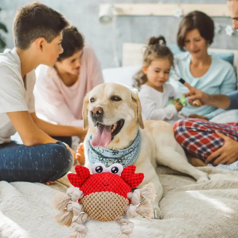 Crab Dog Toy Funny Cute Sea Animals Squeaky Crab Toy for Aggressive Chewer Pet Interactive Training Toy For All Kinds Dogs
Crab Dog Toy Funny Cute Sea Animals Squeaky Crab Toy for Aggressive Chewer Pet Interactive Training Toy For All Kinds Dogs