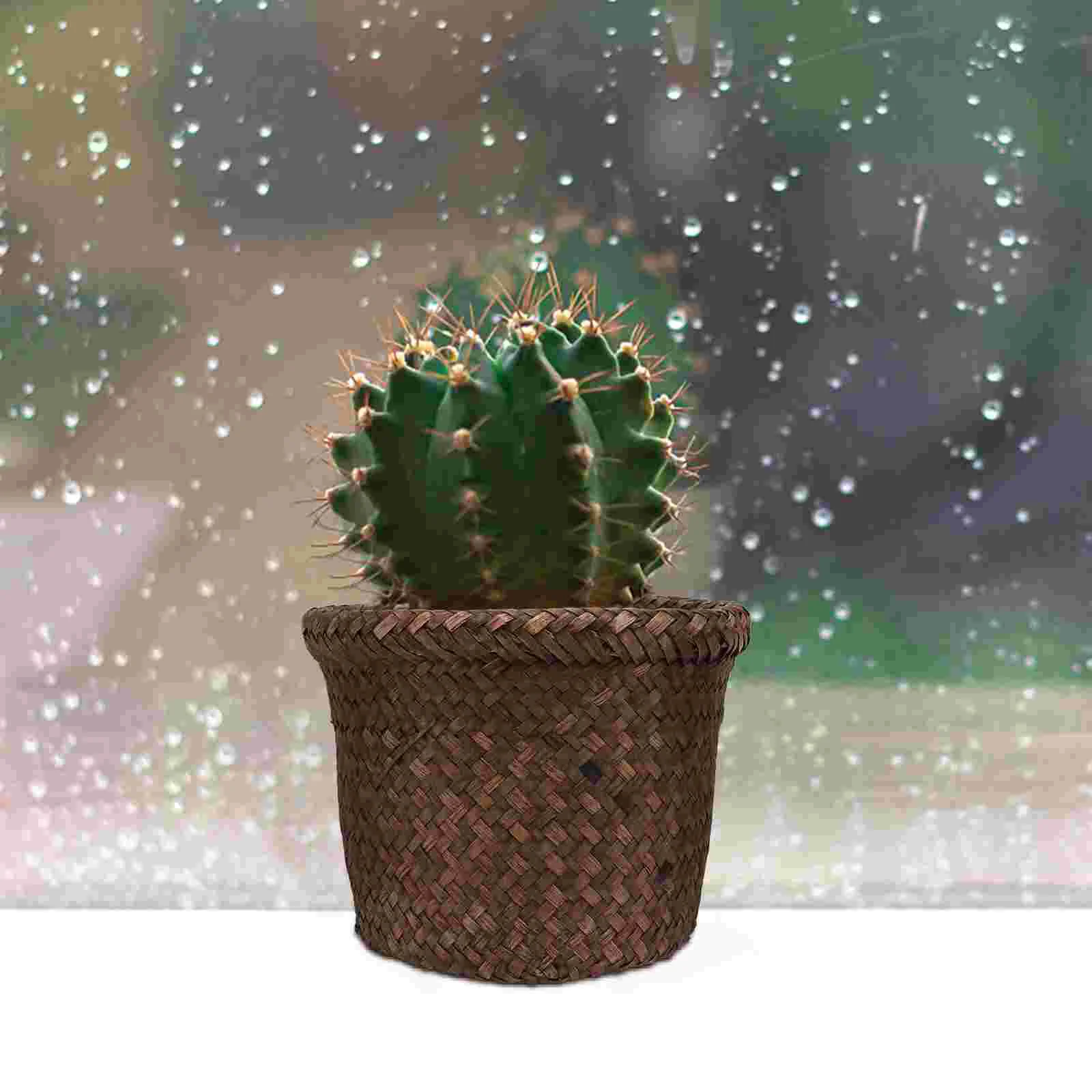 Cabilock Wicker Tree Pots for Laundry Flower Planter and Desk Plants Water Pot Decoration
Cabilock Wicker Tree Pots for Laundry Flower Planter and Desk Plants Water Pot Decoration