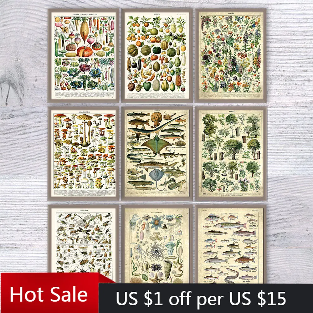 Vintage Vegetable Fruit Mushroom Plant Fish Insect Tree Poster Canvas Print Wall Art Picture Science Poster Kitchen Decoration
Vintage Vegetable Fruit Mushroom Plant Fish Insect Tree Poster Canvas Print Wall Art Picture Science Poster Kitchen Decoration