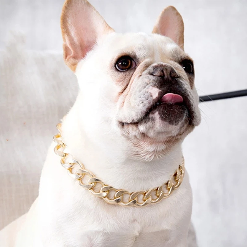 2023Pet Dog Cat Gold Necklace Collar Gold P Chain Dress Up Decoration Gift For Dogs Fighting Dog Accessories Jewelry Photo props
2023Pet Dog Cat Gold Necklace Collar Gold P Chain Dress Up Decoration Gift For Dogs Fighting Dog Accessories Jewelry Photo props