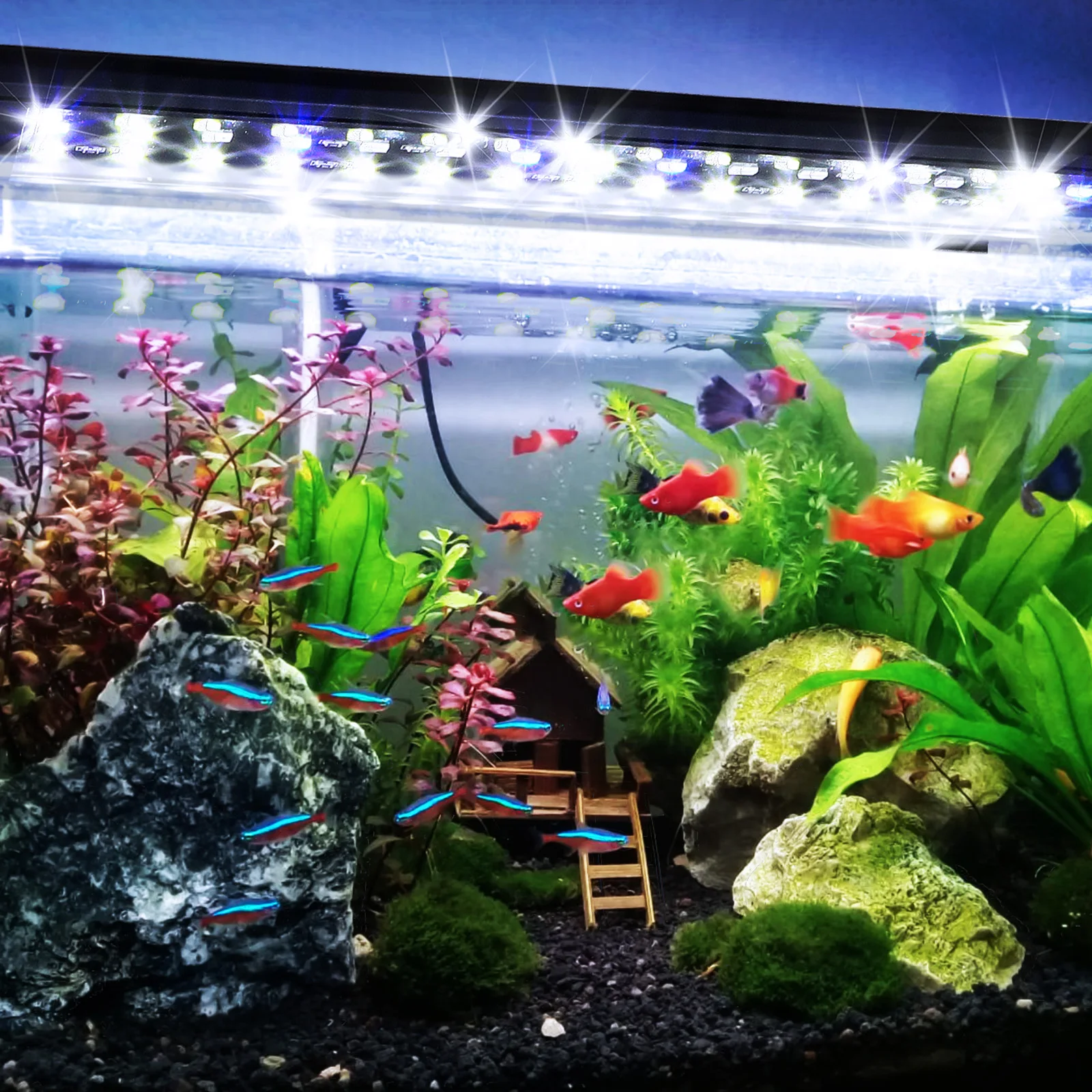 

30-90CM Remote Control Aquarium Light Full Spectrum Plants Lighting Adjustable Brightness Fish Tank Led Light with UK Plug