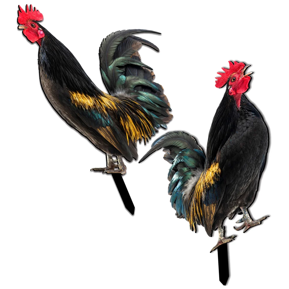 2 Pcs Decorative Garden Inserts Yard Ornaments for Chicken Statue Outdoor Sign Acrylic Courtyard
2 Pcs Decorative Garden Inserts Yard Ornaments for Chicken Statue Outdoor Sign Acrylic Courtyard