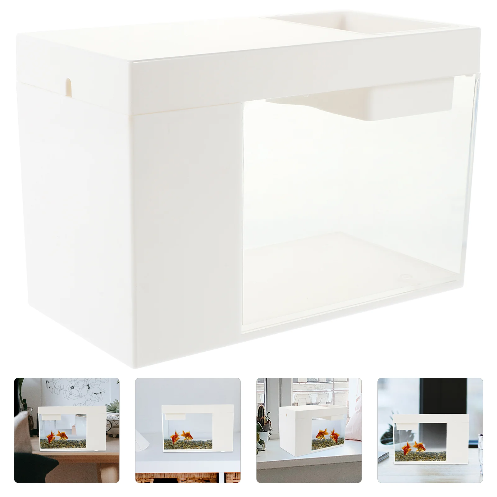 Small Aquarium Desktop Tank for Office Home Room Decor Turtle Reptile Shrimp Moss Insects Habitat
Small Aquarium Desktop Tank for Office Home Room Decor Turtle Reptile Shrimp Moss Insects Habitat