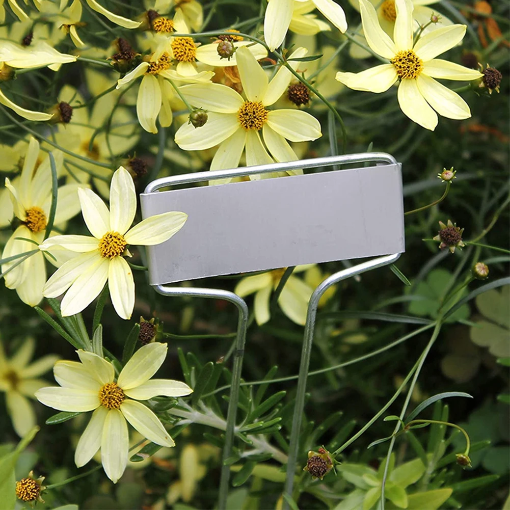 20pcs 4/6/8 Inch Copper Plate Metal Plant Labels Garden Stake Tags Reusable Planting Gardening Markers For Garden Potted Plants
20pcs 4/6/8 Inch Copper Plate Metal Plant Labels Garden Stake Tags Reusable Planting Gardening Markers For Garden Potted Plants