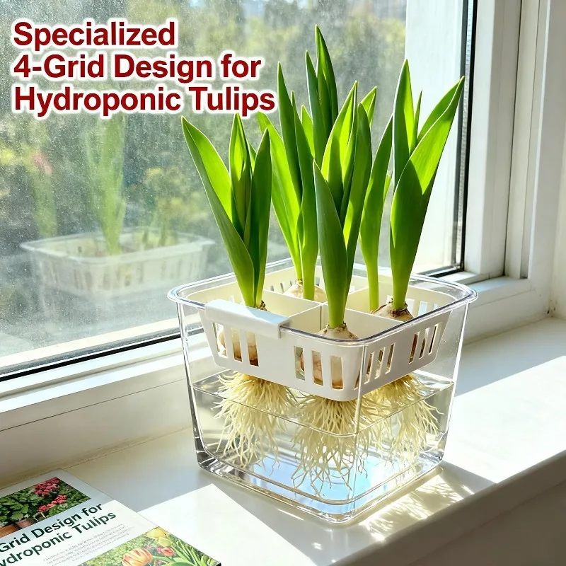 4-Grid Acrylic Hydroponic Flower Pot for Tulips & Indoor Plants Sf5480121f6b243ee9e8fa5daa2e44b805
