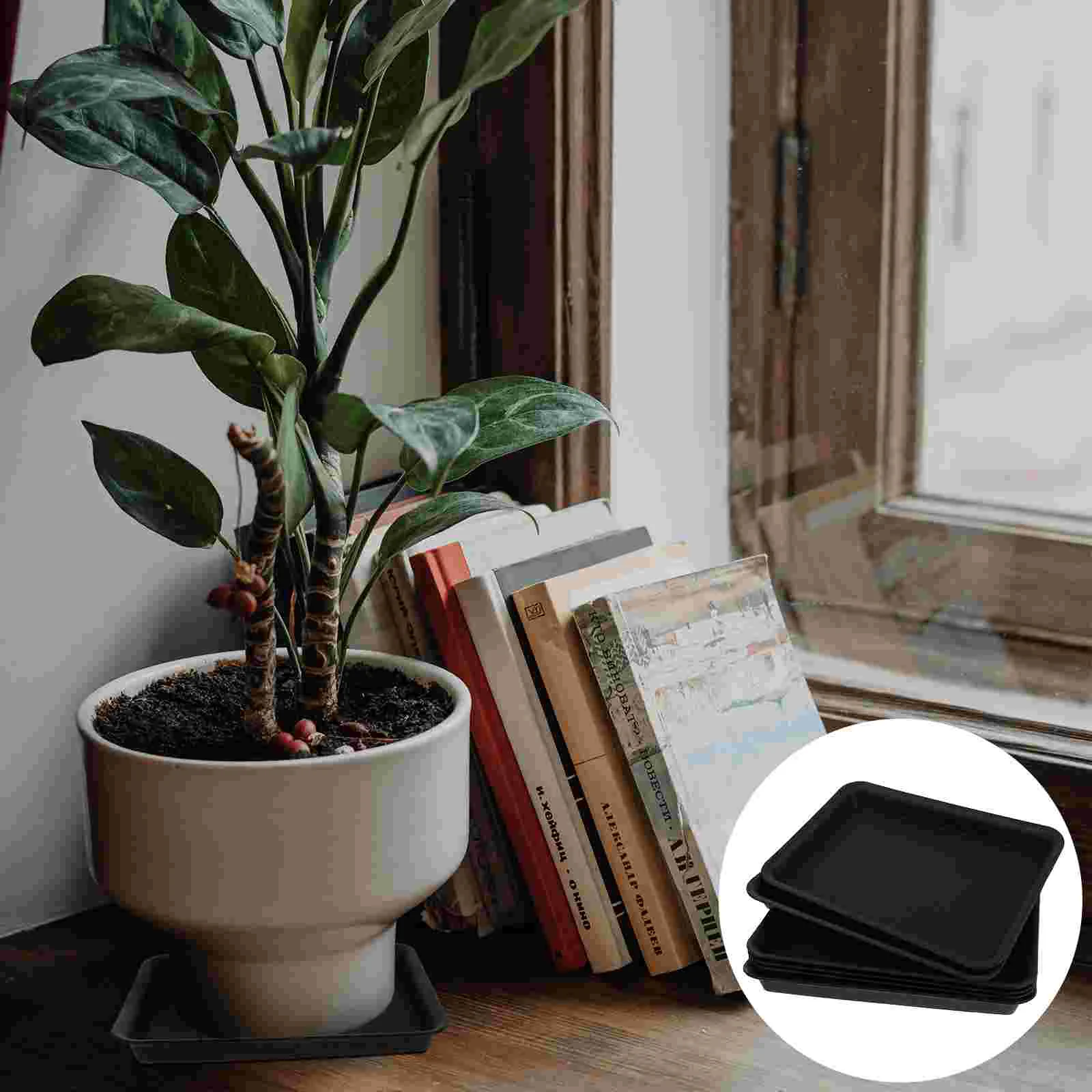 Terracotta Saucer Rectangular Torus Small Plastic Containers Gardening Water Trays
Terracotta Saucer Rectangular Torus Small Plastic Containers Gardening Water Trays