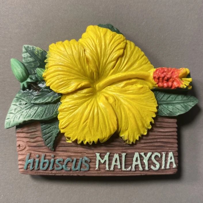 Malaysian hibiscus flower creative painted flower handicraft tourism commemorative magnetic fridge magnet collection souvenirs
Malaysian hibiscus flower creative painted flower handicraft tourism commemorative magnetic fridge magnet collection souvenirs