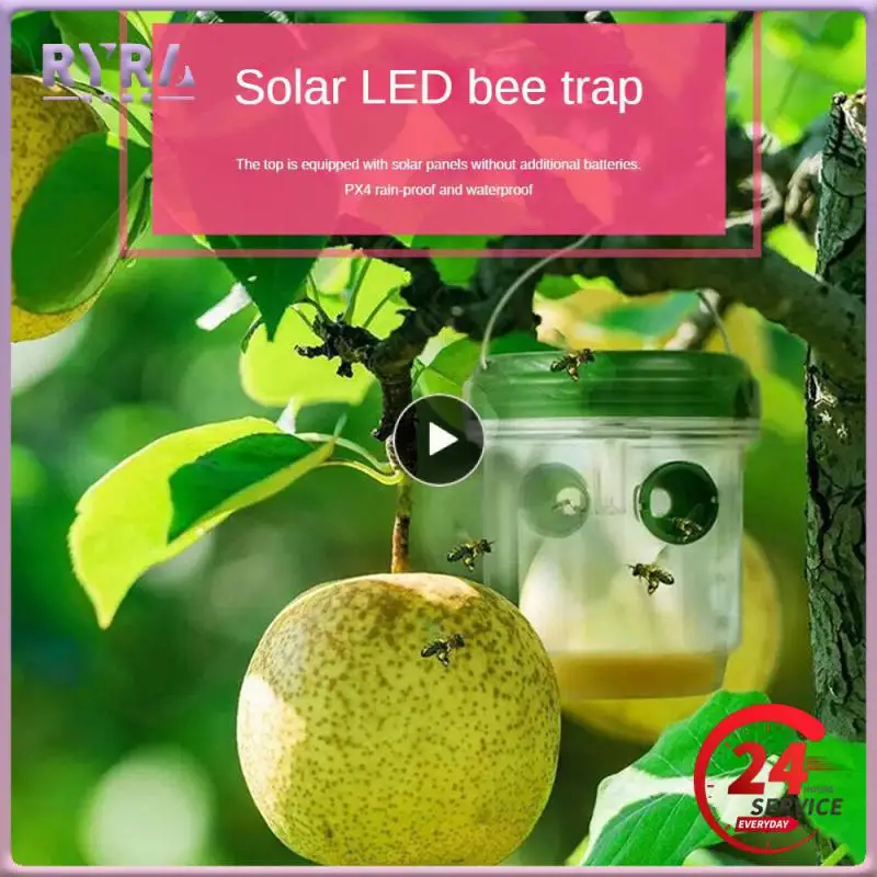 Fruit Fly 3 Colors Durable Effective Convenient Environmentally Friendly Versatile Control Solution Bee Trap 40mah
Fruit Fly 3 Colors Durable Effective Convenient Environmentally Friendly Versatile Control Solution Bee Trap 40mah