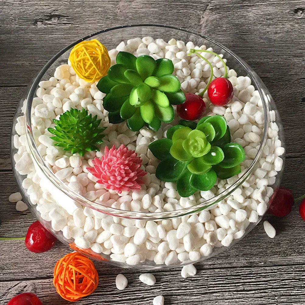 Indoor Plant Pots Glass Flower Portable Fish Bowl Tank Clear Keeper Display Stand Small Goldfish Office
Indoor Plant Pots Glass Flower Portable Fish Bowl Tank Clear Keeper Display Stand Small Goldfish Office