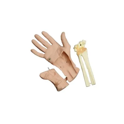 Wrist Arthroscopy Model
Wrist Arthroscopy Model