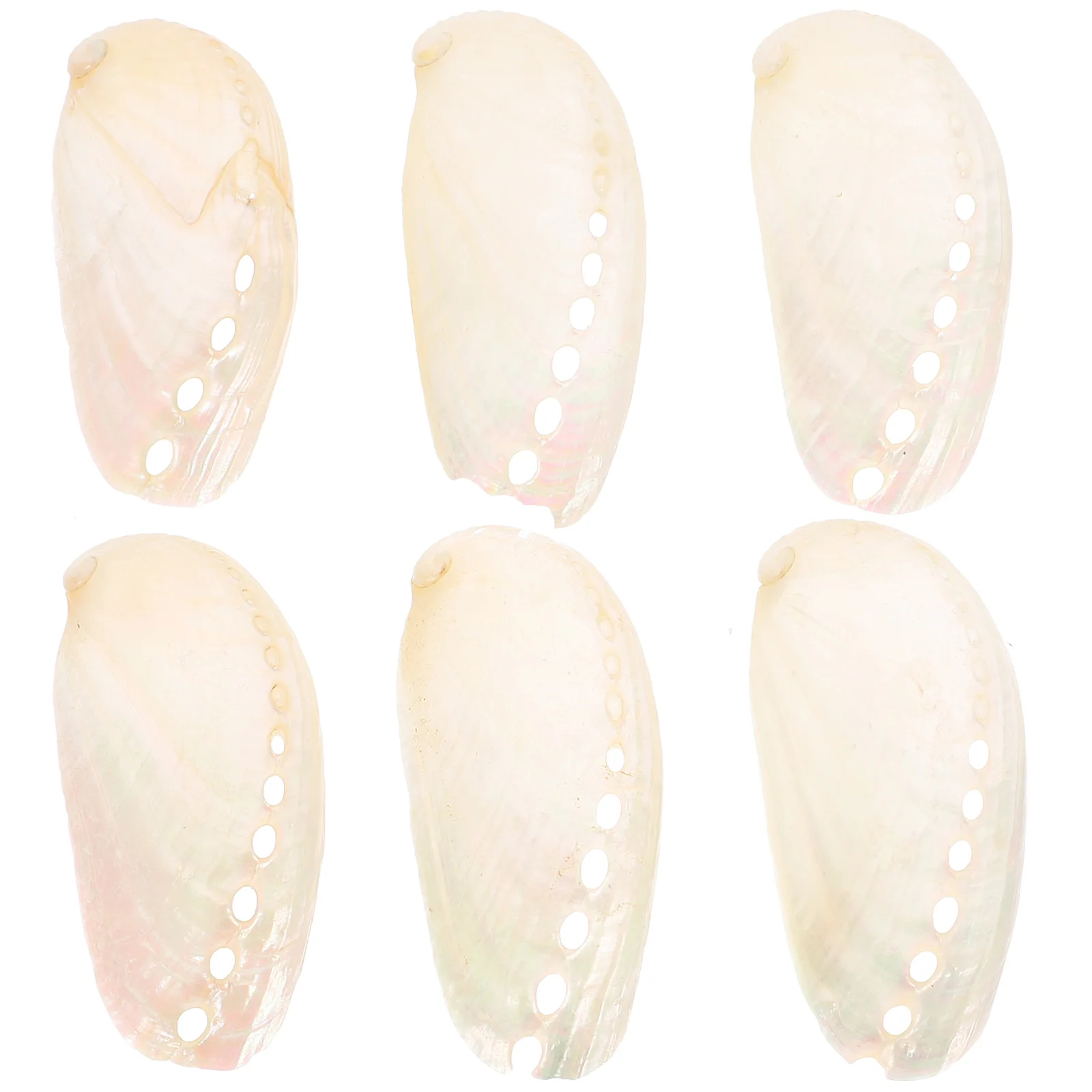 6pcs Abalone Shell Natural Seashell Craft Beach Wedding Craft Home Abalone Shell Decoration
6pcs Abalone Shell Natural Seashell Craft Beach Wedding Craft Home Abalone Shell Decoration