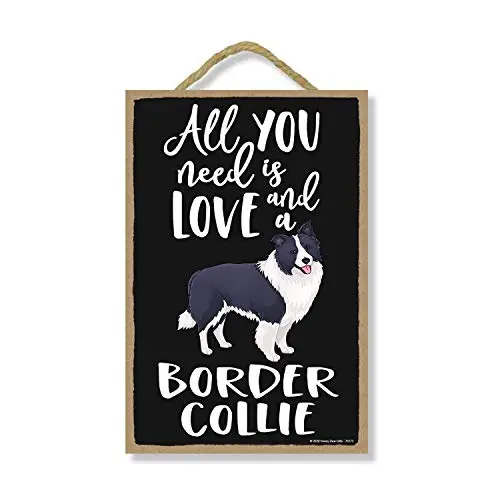 

Honey Dew Gifts All You Need is Love and a Border Collie Wooden Home Decor for Dog Pet Lovers, Hanging Decorative Wall Sign,