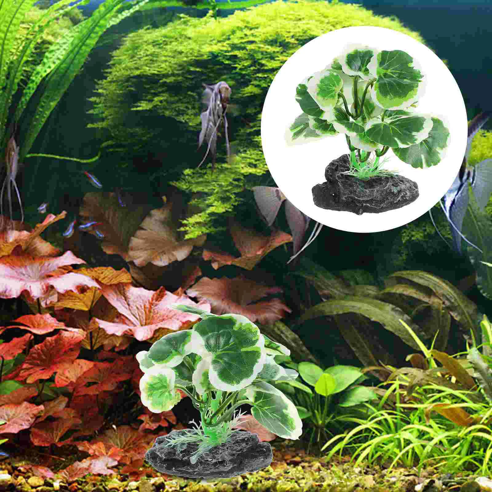 Artificial Plant Decoration Aquatic Plants Aquarium Fish Tank Decorations Fake Olant Tableware Plastic Supplies
Artificial Plant Decoration Aquatic Plants Aquarium Fish Tank Decorations Fake Olant Tableware Plastic Supplies