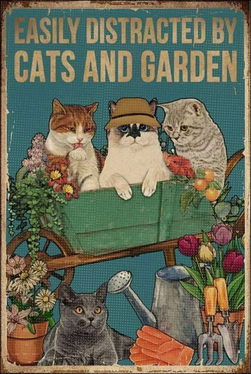 Easily Distracted by Cats and Garden Retro Metal Tin Sign Vintage Aluminum Sign for Home Coffee Wall Decor 8x12 Inch
Easily Distracted by Cats and Garden Retro Metal Tin Sign Vintage Aluminum Sign for Home Coffee Wall Decor 8x12 Inch