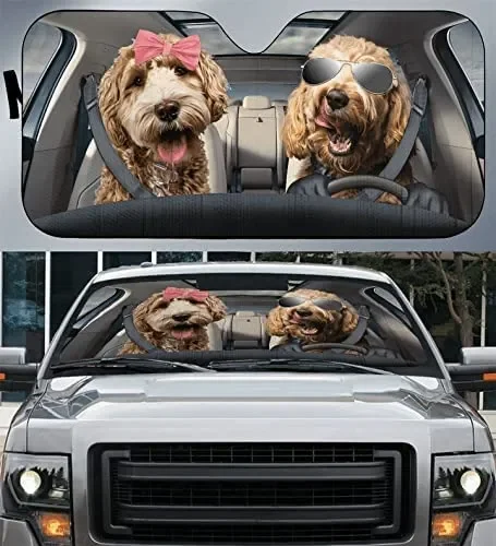 Cute Goldendoodle Wearing Glasses And Bow Car Sunshade For Goldendoodle Lover, Funny Goldendoodle Couple Driving Left Hand Auto
Cute Goldendoodle Wearing Glasses And Bow Car Sunshade For Goldendoodle Lover, Funny Goldendoodle Couple Driving Left Hand Auto