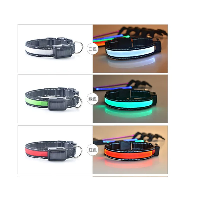 Solar Recharge dog collar led light Safety Pet Collar For Lighted Up Nylon Solid LED Dog Collar led Glow Necklace
Solar Recharge dog collar led light Safety Pet Collar For Lighted Up Nylon Solid LED Dog Collar led Glow Necklace