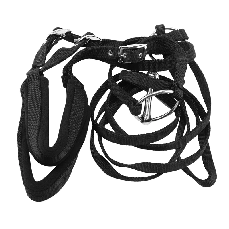 

Adjustable Horse Riding Equipment Halter Horse Bridle With Bit And Rein Belt For Horse Equestrian Accessories Soft Thicken Large