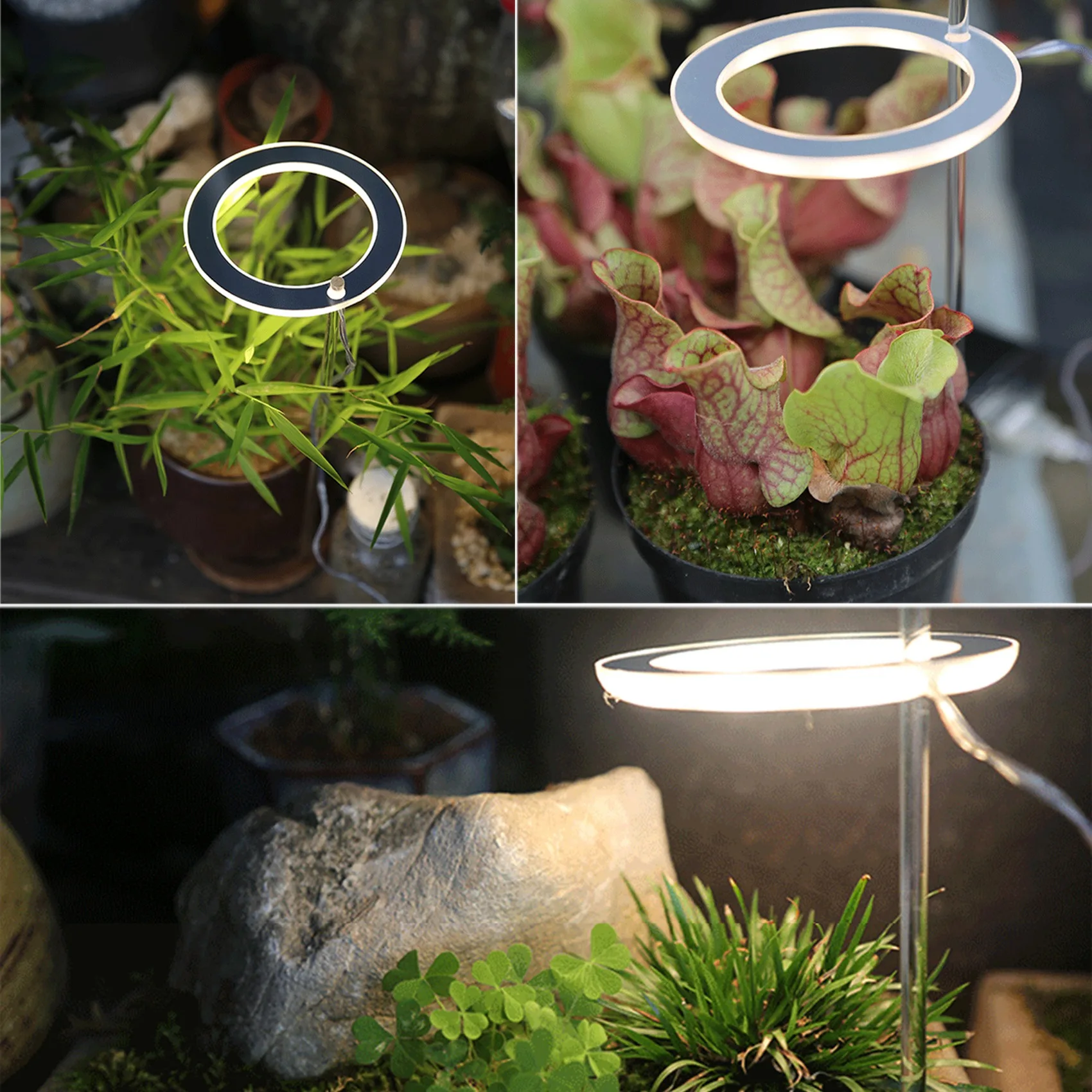 LED Grow Light Full Spectrum Phyto Grow Lamp USB Angel Ring Lamp for Succulents, Flower Plants Growth (Sunshine)
LED Grow Light Full Spectrum Phyto Grow Lamp USB Angel Ring Lamp for Succulents, Flower Plants Growth (Sunshine)