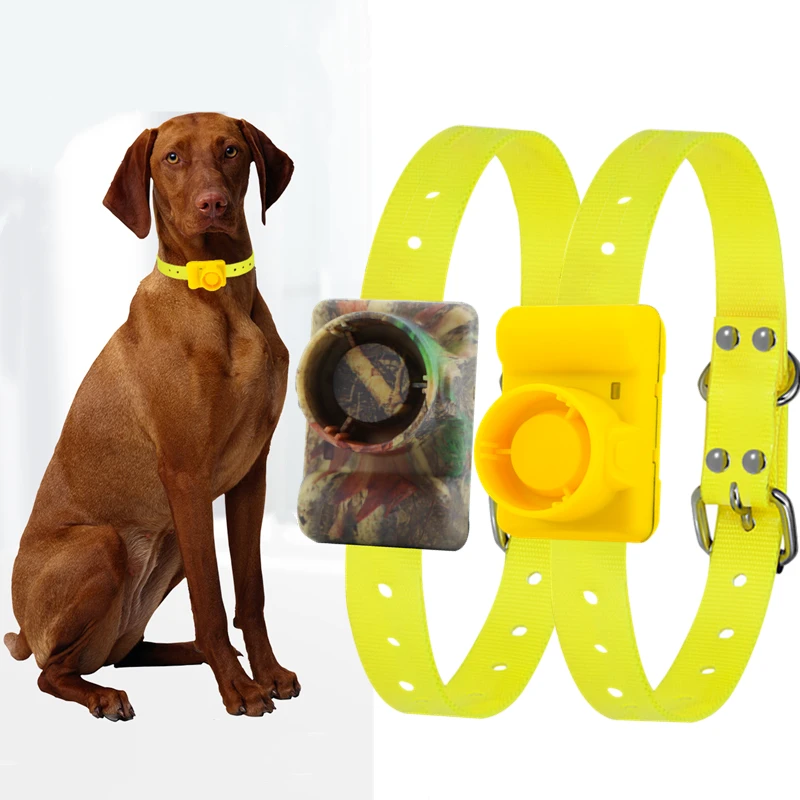 Hunting Dog Beeper Rechargeable Dog Training Collar Waterproof Beeper Collars for Pet Sound Sports Training Hunting Collar
Hunting Dog Beeper Rechargeable Dog Training Collar Waterproof Beeper Collars for Pet Sound Sports Training Hunting Collar