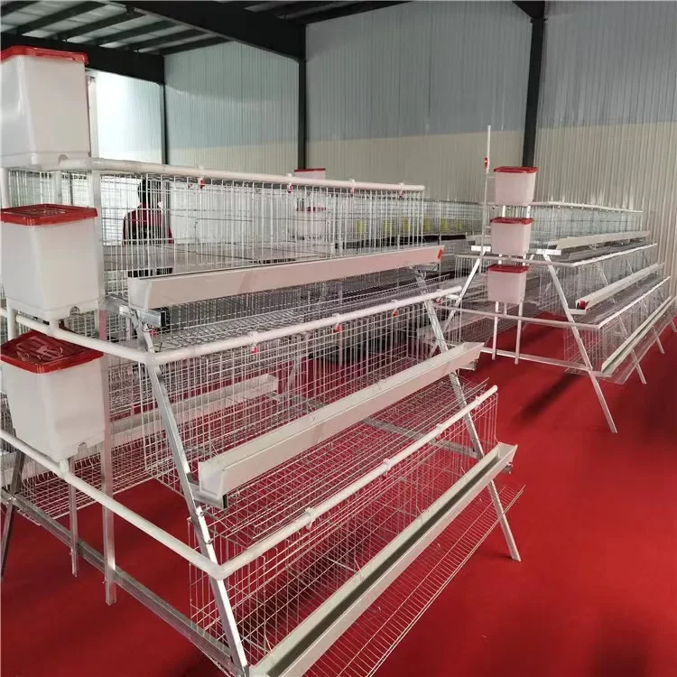 

Large Scale Poultry Chicken Coop,Hot / Cold Dip Galvanized Metal Hen Laying Egg Layer Chicken Cages