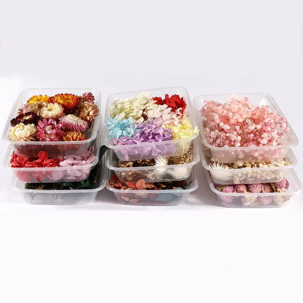 Dried Flower Soft DIY Crafting Mini Art Preserved Flower Easy to Maintain Eco-friendly Dried Flower Decor for Epoxy Resin
Dried Flower Soft DIY Crafting Mini Art Preserved Flower Easy to Maintain Eco-friendly Dried Flower Decor for Epoxy Resin