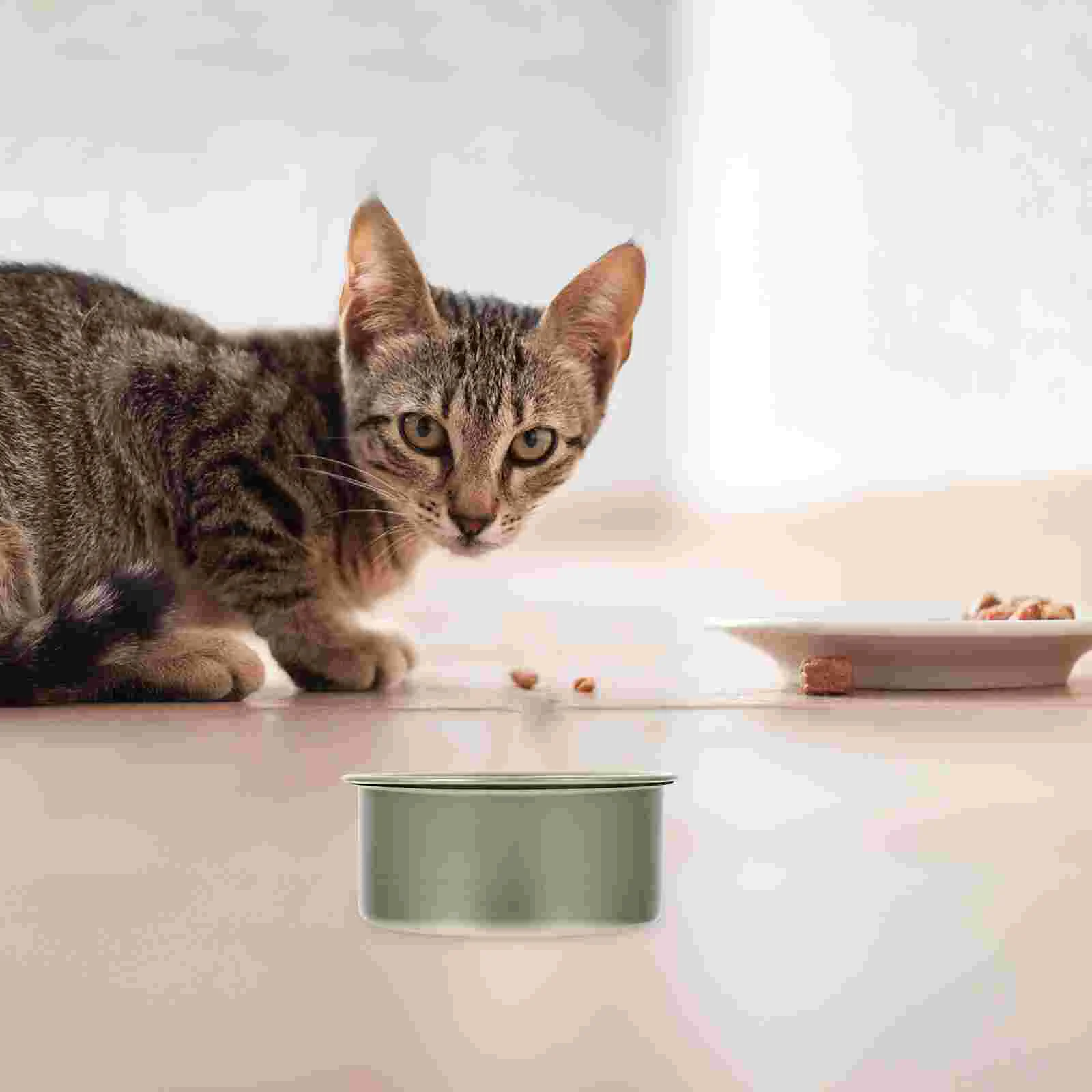 Food Storage Container Cat Pet Can Containers Dog With Sealed Seal Self Lid Dry Metal Lids Tins Small Tin
Food Storage Container Cat Pet Can Containers Dog With Sealed Seal Self Lid Dry Metal Lids Tins Small Tin