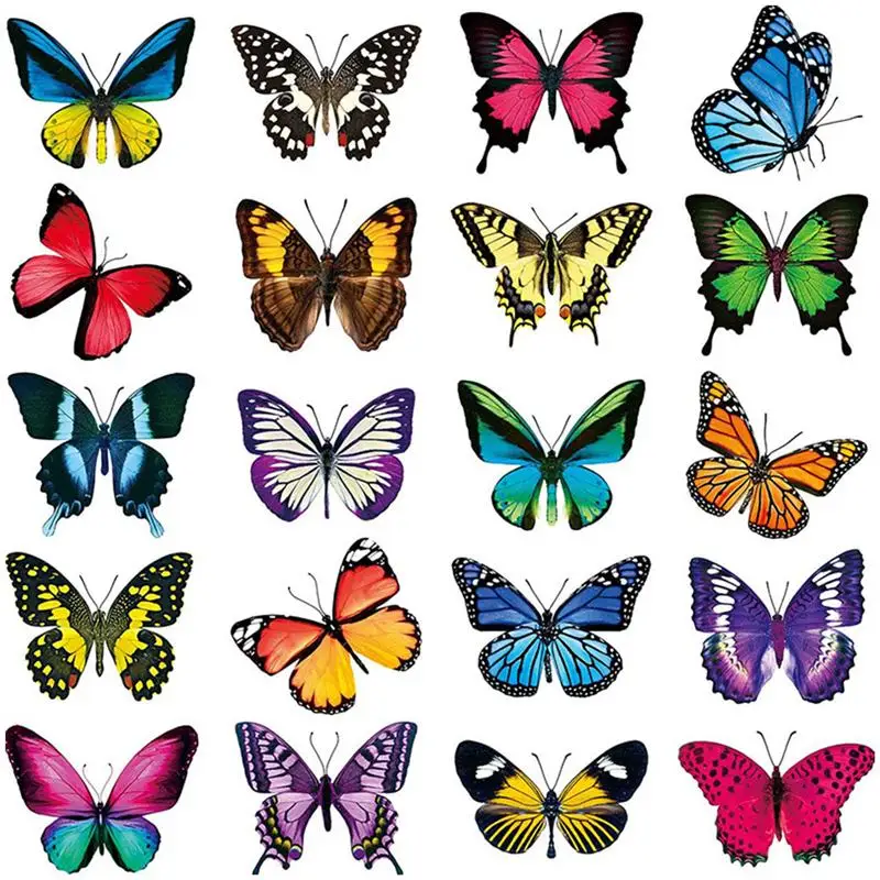1 Set Prevent Bird Strikes Butterfly Window Clings Anti-Collision Decals Electrostatic Glass Stickers Prevent Bird Collision
1 Set Prevent Bird Strikes Butterfly Window Clings Anti-Collision Decals Electrostatic Glass Stickers Prevent Bird Collision
