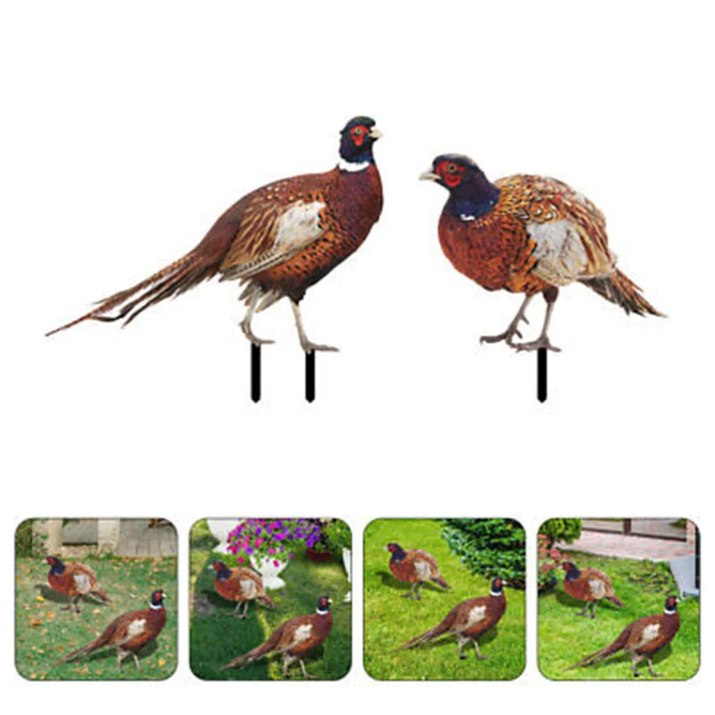 2pcs Chicken Lawn Garden Ornaments Pheasant Stake Garden Ornaments Outdoor Sign Rooster Yard And Garden Decoration
2pcs Chicken Lawn Garden Ornaments Pheasant Stake Garden Ornaments Outdoor Sign Rooster Yard And Garden Decoration
