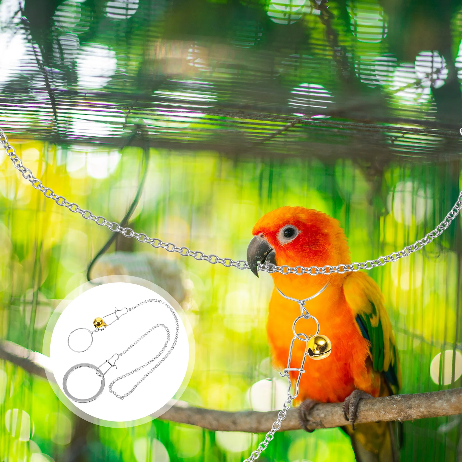 Bird Neck Collar Stainless Steel Chain Parrot Training Necklace Leash Cockatiel Harness Fly
Bird Neck Collar Stainless Steel Chain Parrot Training Necklace Leash Cockatiel Harness Fly