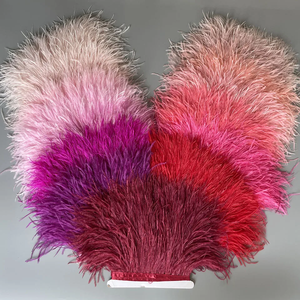 6M 13-18cm Multicolor Real Ostrich feather Trims Ribbon White Ostrich for Dress Clothing Decoration Sewing feathers Crafts
6M 13-18cm Multicolor Real Ostrich feather Trims Ribbon White Ostrich for Dress Clothing Decoration Sewing feathers Crafts